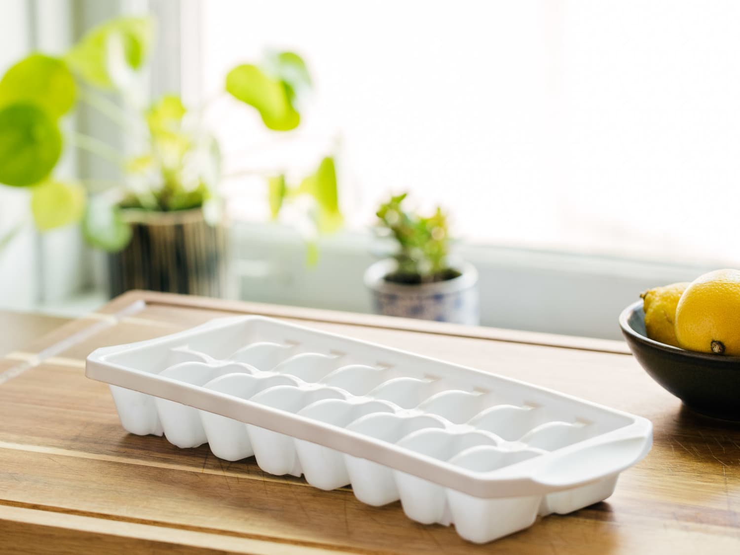 Kong ice cube best sale tray